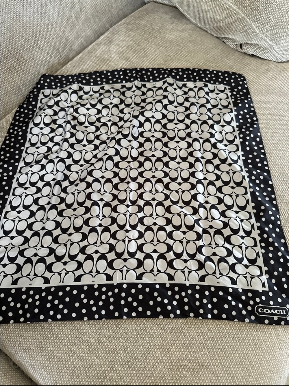 Coach scarf